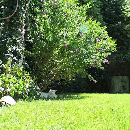 Appartement Oasis Family *