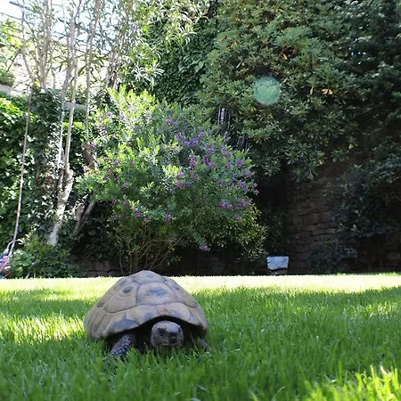 Appartement Oasis Family Piran