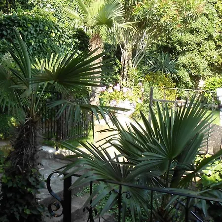 Oasis Family * פיראן