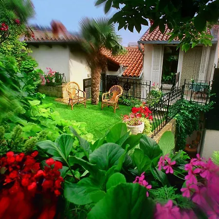 Green Oasis Family Apartments *