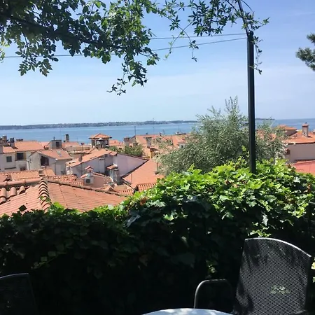 Oasis Family * Piran