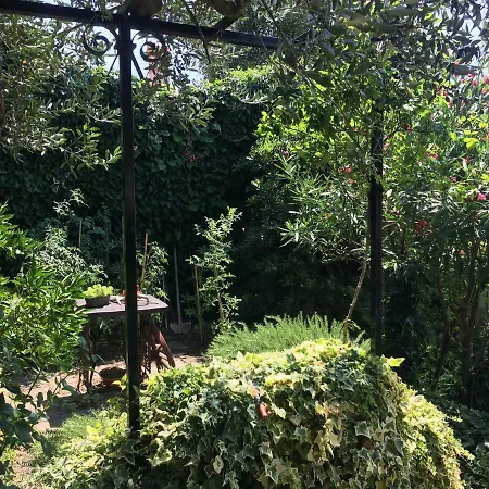 Oasis Family Apartmán