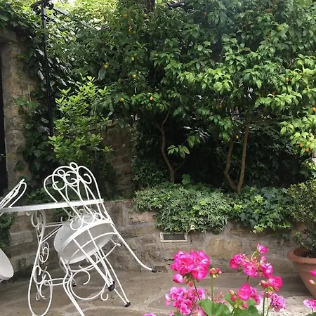 Oasis Family פיראן