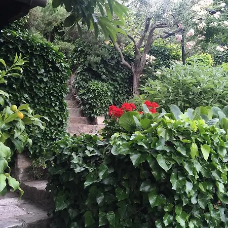 Apartmán Oasis Family Piran