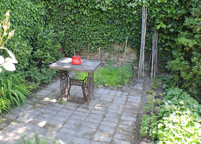 Oasis Family 公寓 *