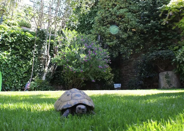 Lägenhet Green Oasis Family Apartments Piran