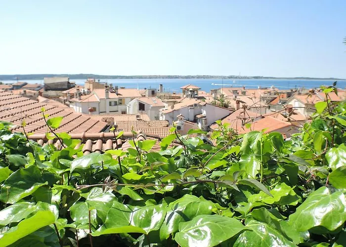 Green Oasis Family Apartments