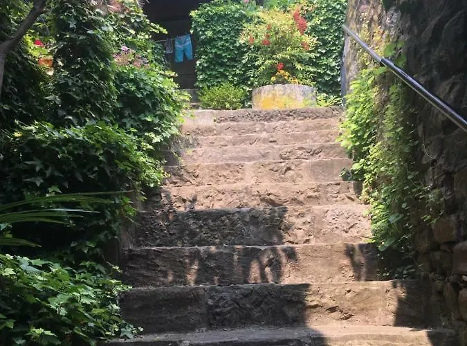 Oasis Family Apartman *