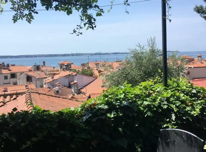 Oasis Family * Piran