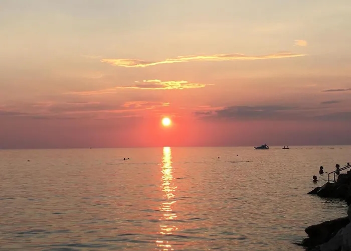 Green Oasis Family Apartments