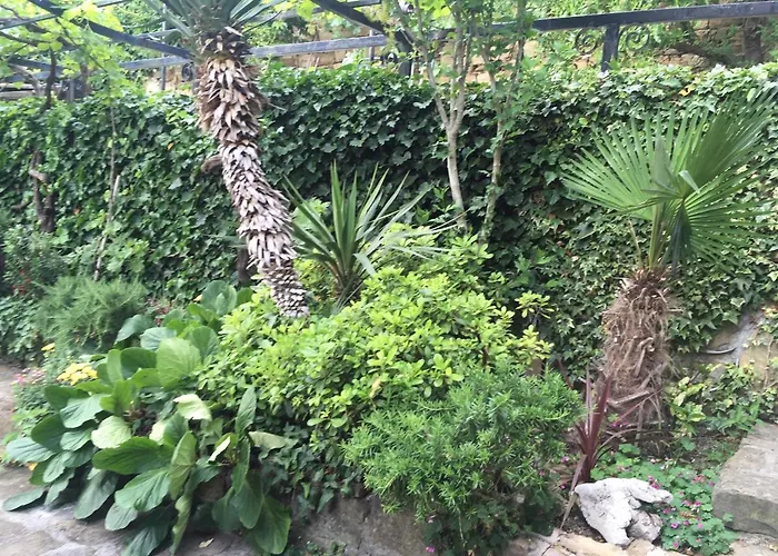 Green Oasis Family Apartments