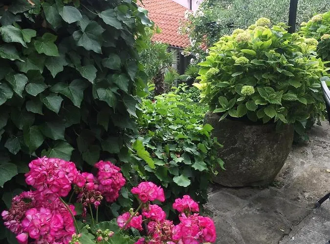 Green Oasis Family Apartments